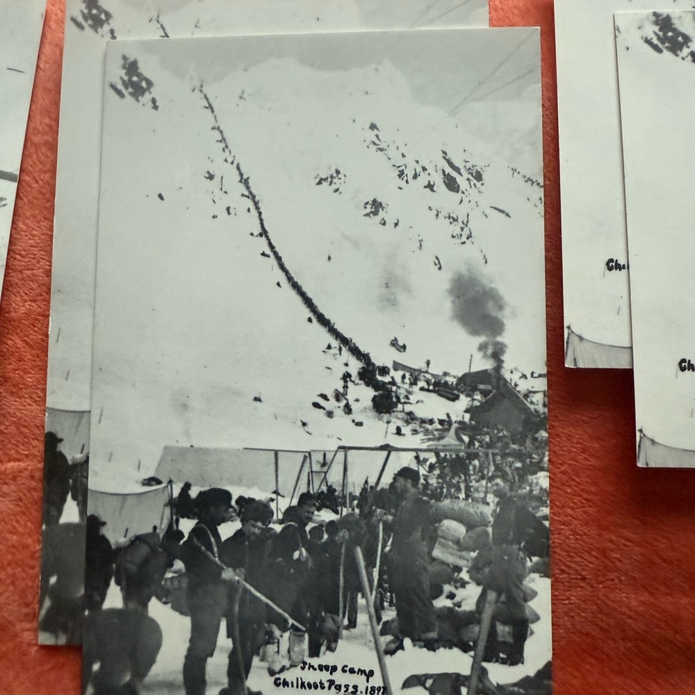 Alaska Postcard Collection - Picture 4 of 16